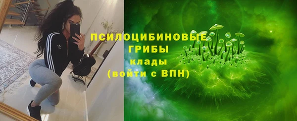 прущие крисы Белоозёрский