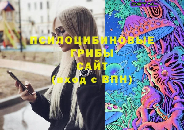 меф Белокуриха