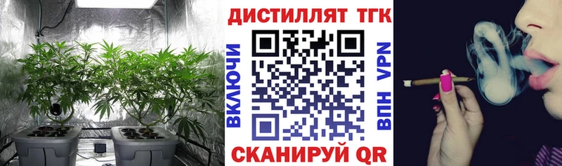 где найти   Боготол  hydra ТОР  ТГК Wax 