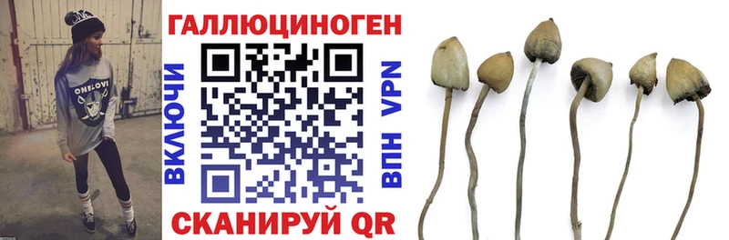 Псилоцибиновые грибы мухоморы  Боготол 